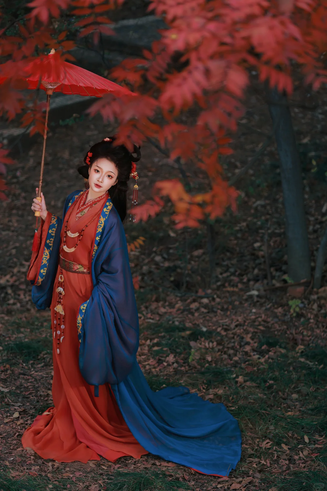赣州这棵树也太好拍啦！ | 赣州汉服
