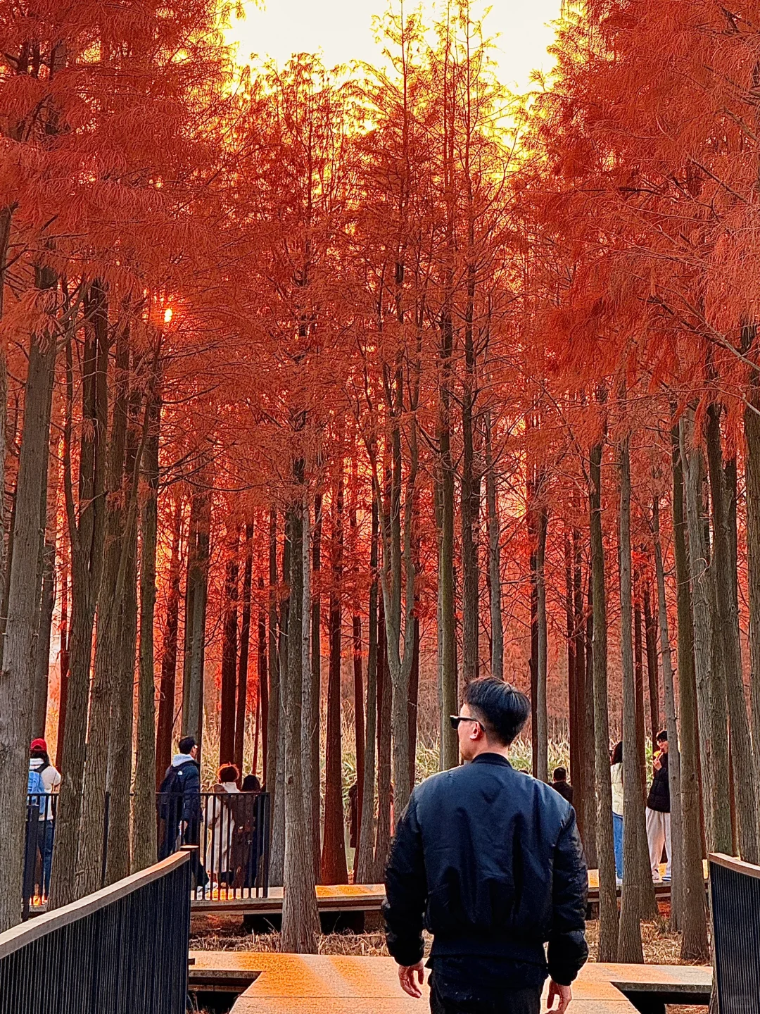 为了这18张live 图总要来一趟南昌！！！