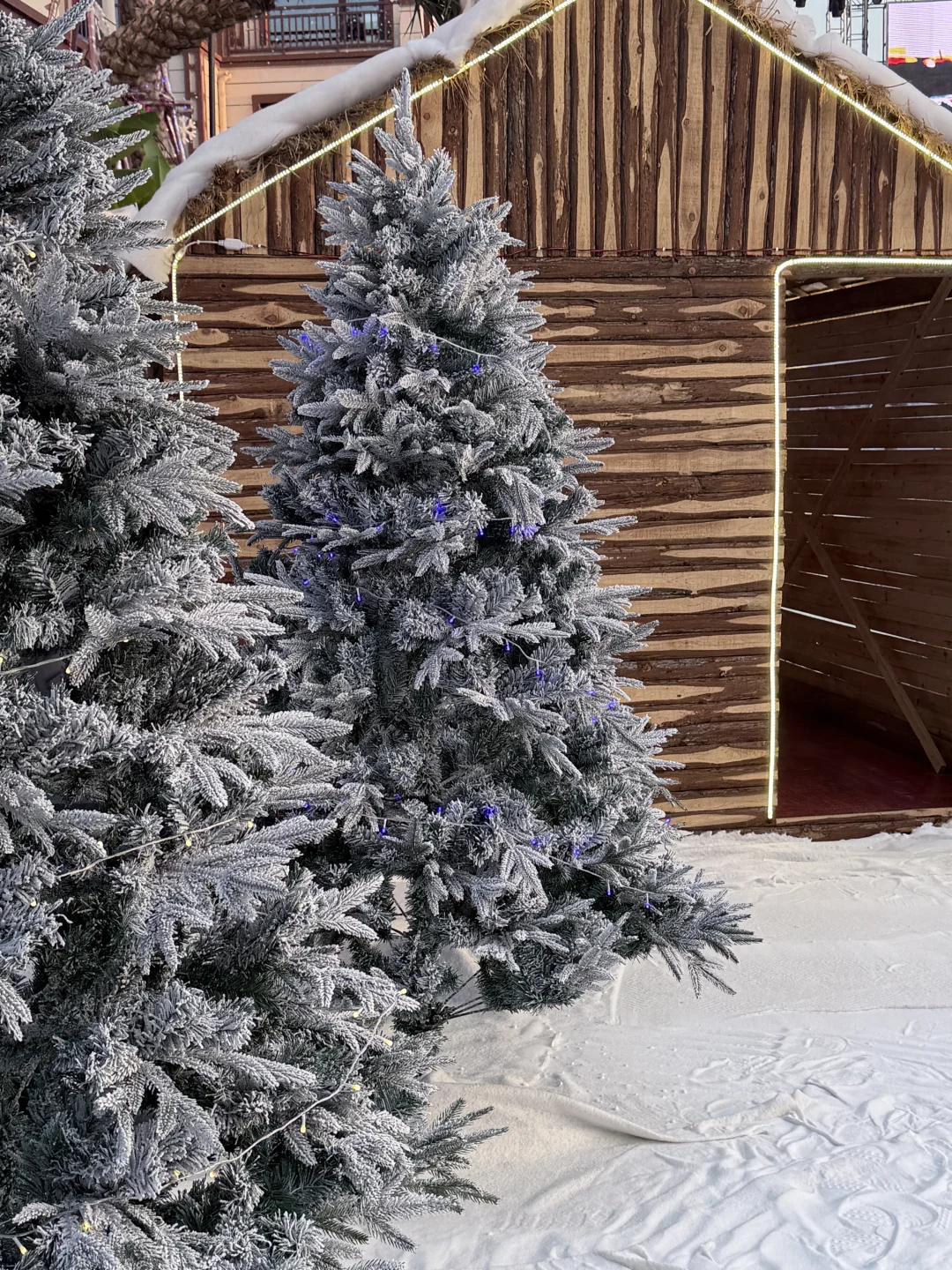 不用去阿勒泰！！！就在赣州！免费雪景好好拍！！