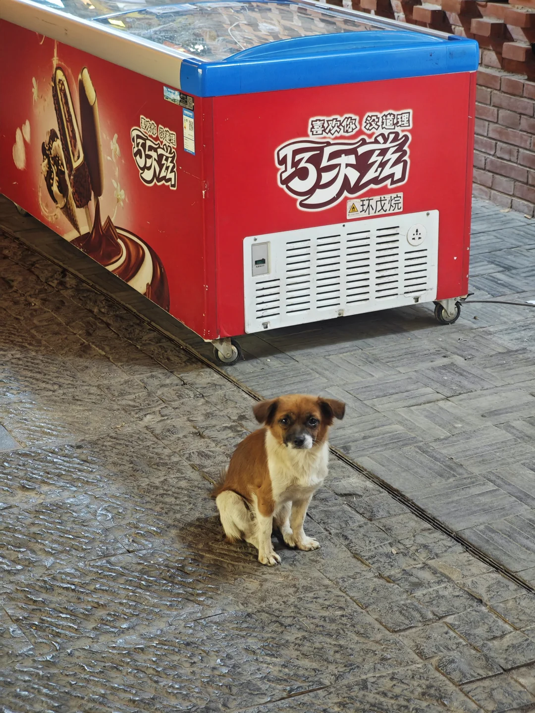 带着姥姥去看世界 —— 赣州篇