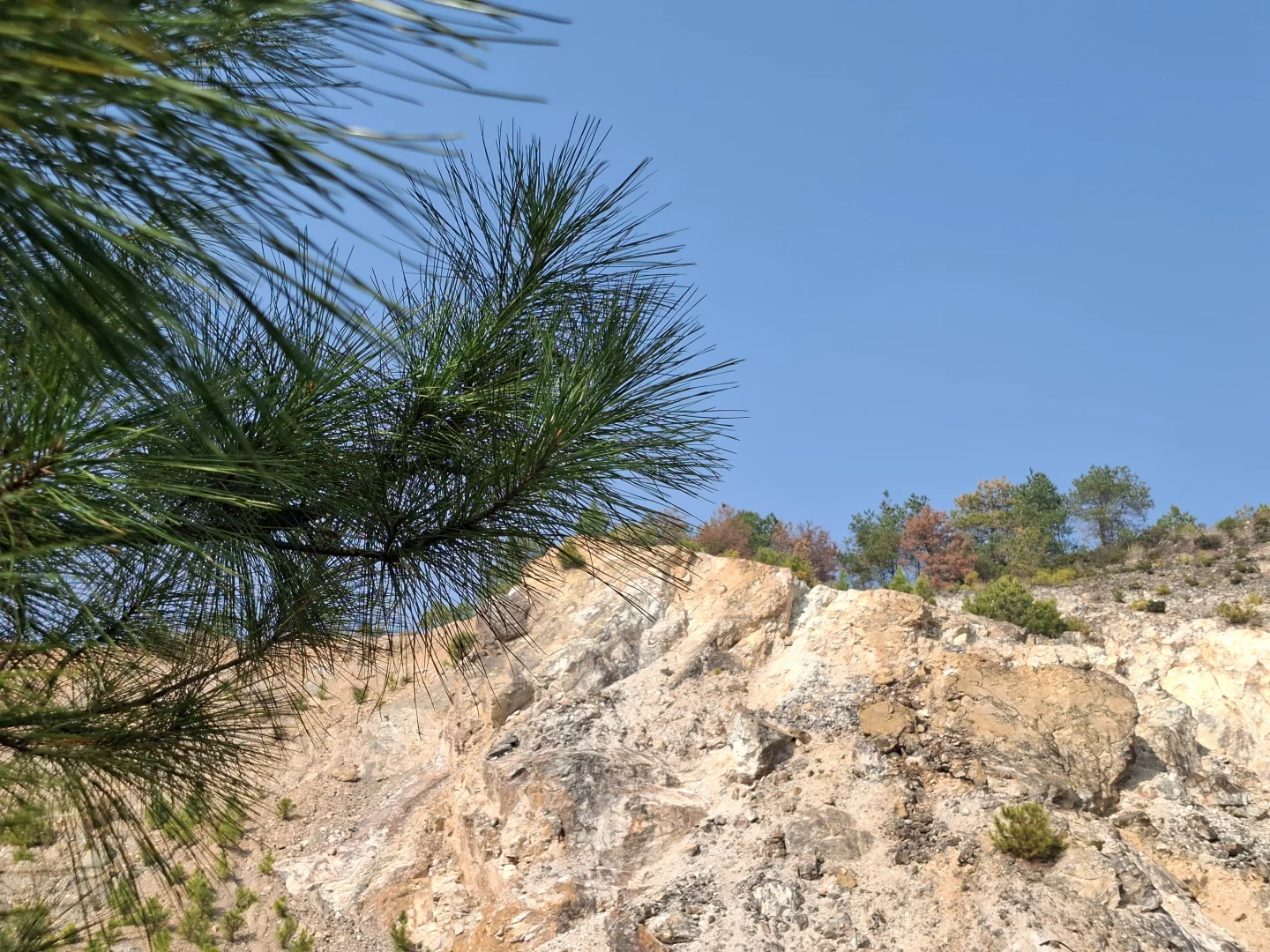 一起在抚州找寻纯正自然风景⛰️（含路线图