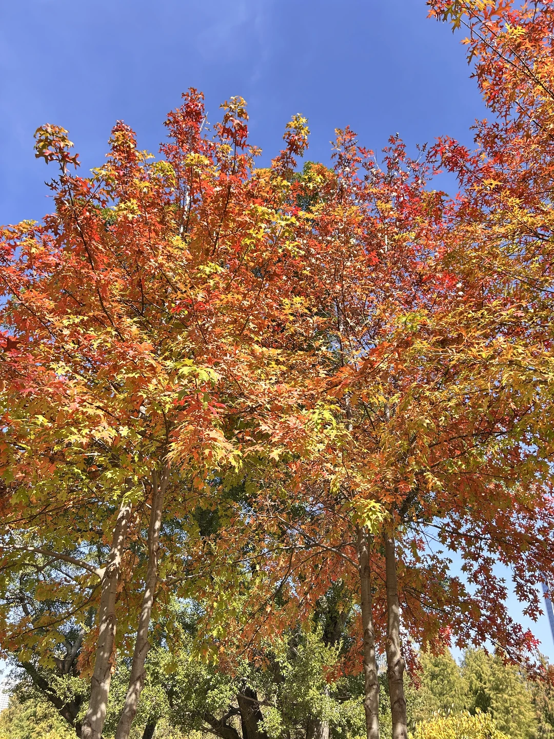 赣州！我愿称之为赣州的后花园！！！