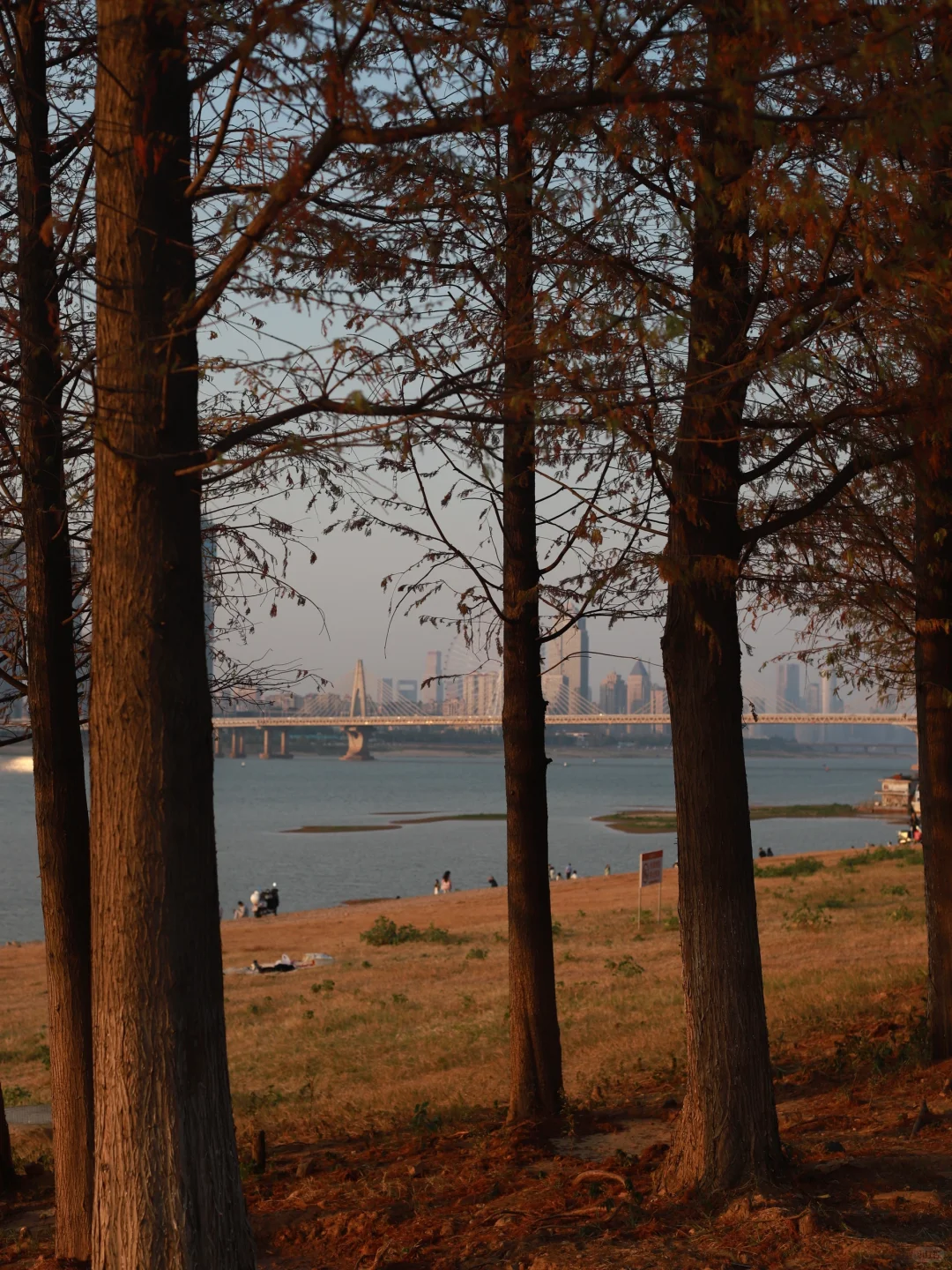 为了这18张live 图总要来一趟南昌！！！