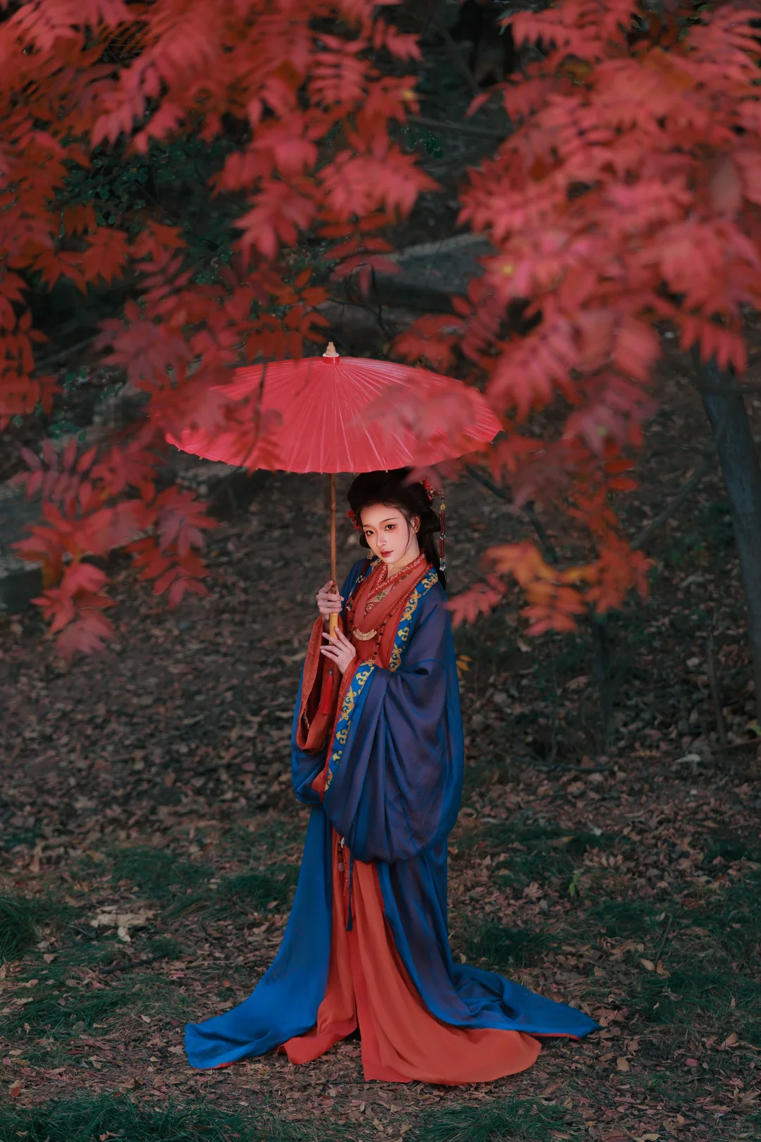 赣州这棵树也太好拍啦！ | 赣州汉服