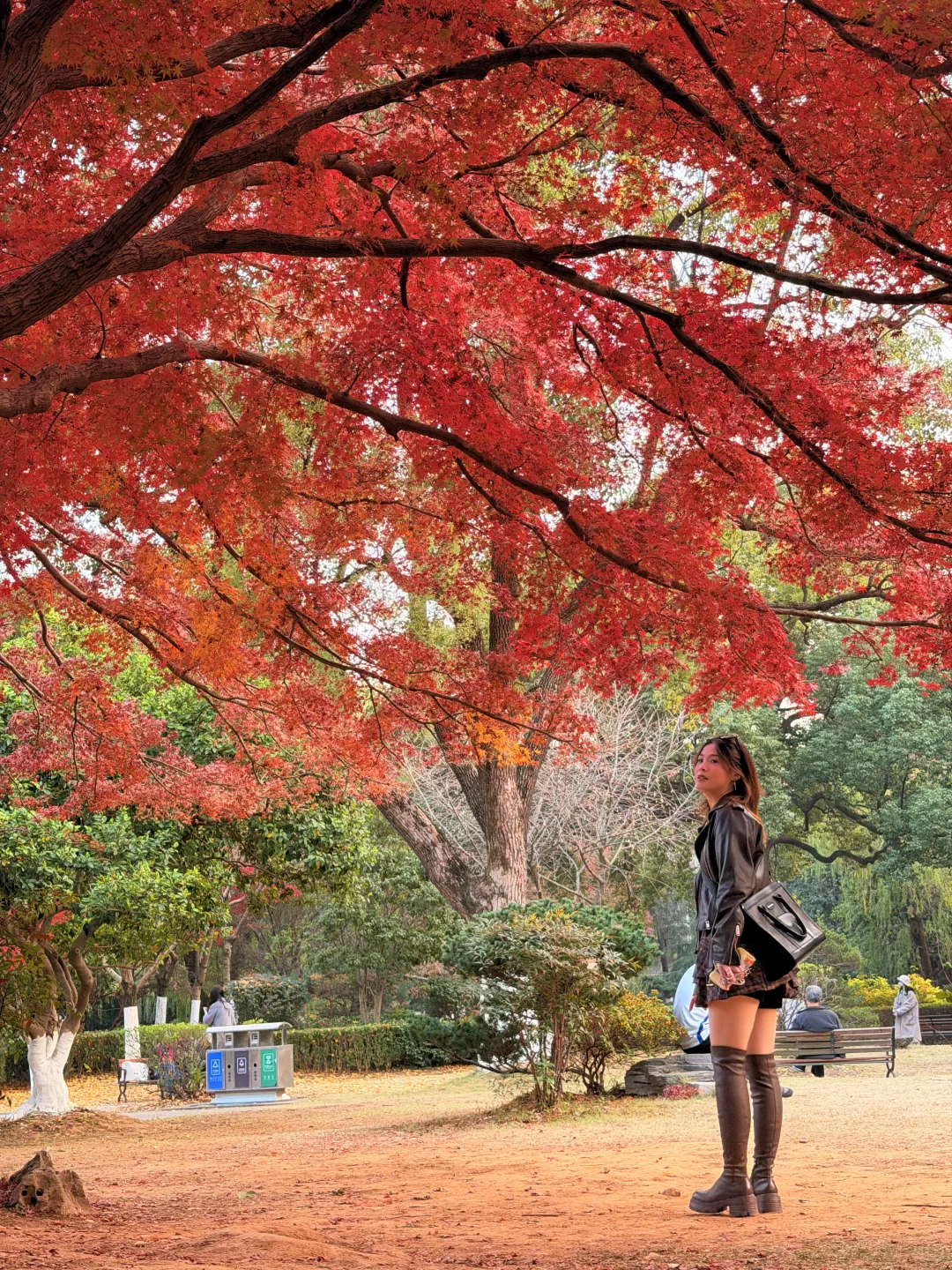 12.8南昌人民公园红枫🍁美疯了！！！！！