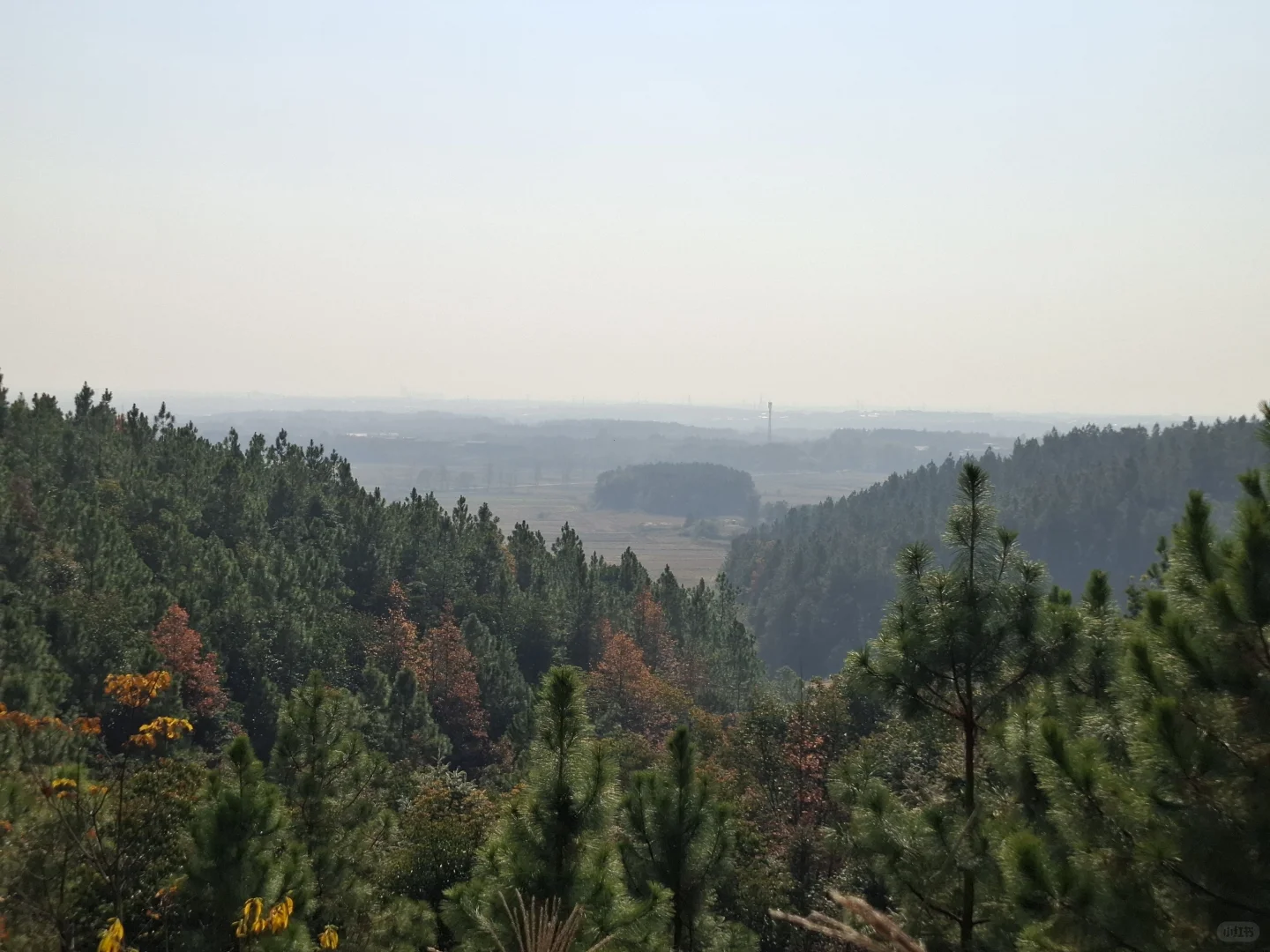 一起在抚州找寻纯正自然风景⛰️（含路线图