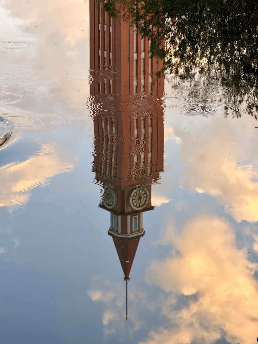 🍂我该怎么告诉你 这个地方在哪里