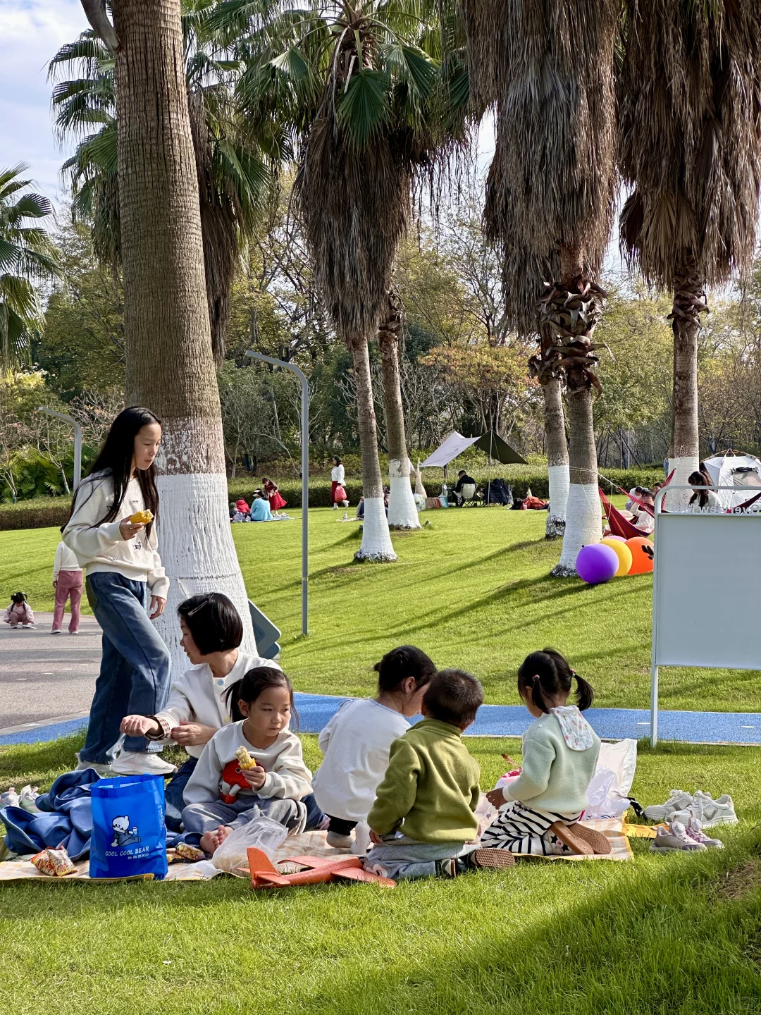 赣州蓉江公园这片大草坪也太治愈了吧！ 🌴