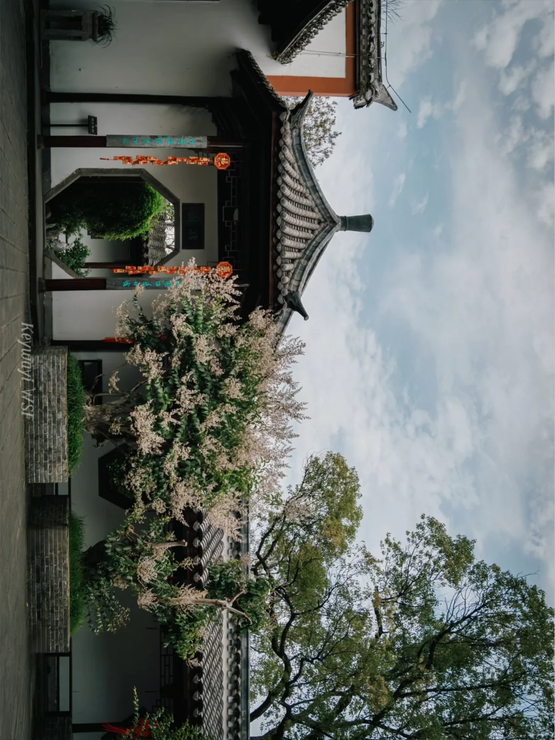 南昌｜英雄之城一日游citywalk，就是太费快门