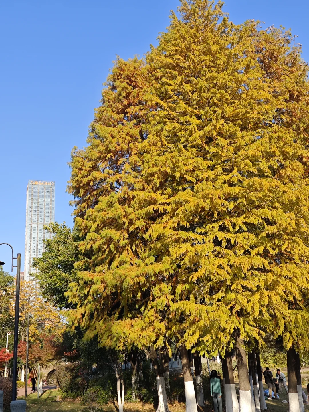在赣州，拼凑秋天的颜色🍂🍁