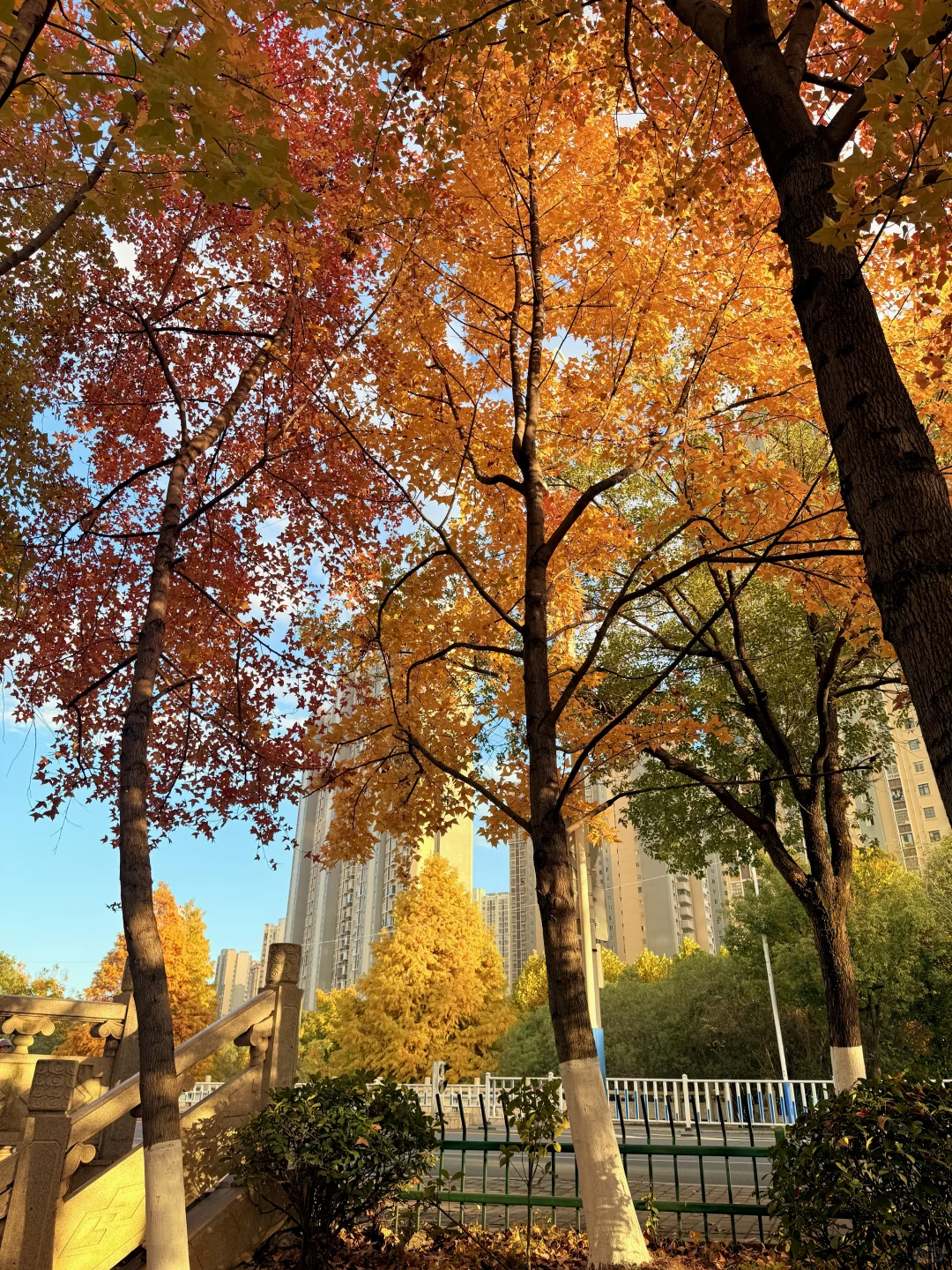 🍂我该怎么告诉你 这个地方在哪里