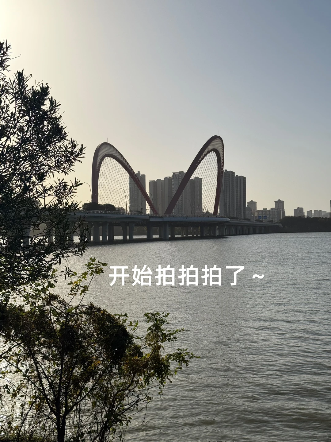 南昌“猫耳朵大桥”🐱攻略来了～