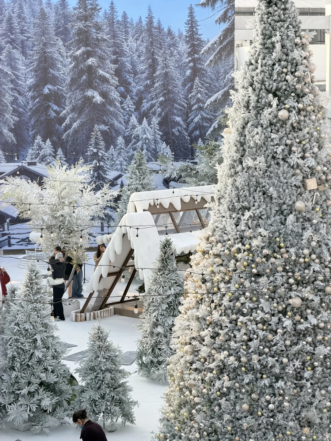 0️⃣r展!! 真的在南昌啊啊啊…美哭了!!!😭😭