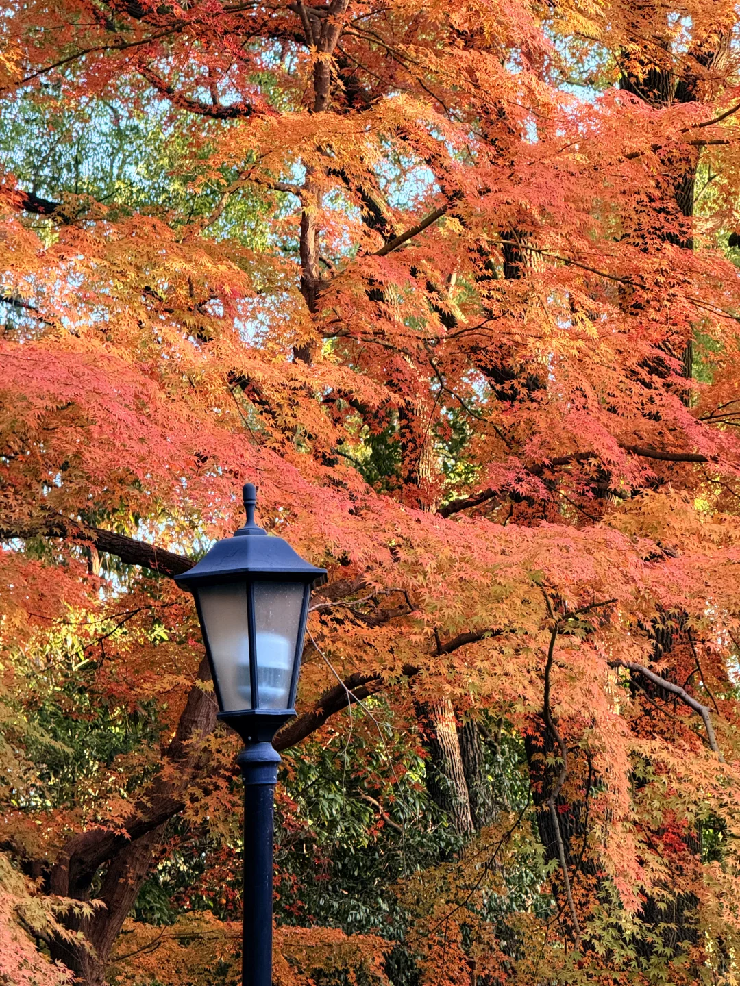 为了这18张live图总要来一趟南昌吧！！！