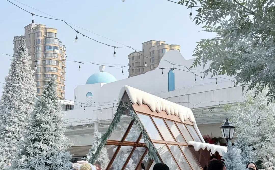 在南昌 仿佛来到了阿勒泰 雪景太美了