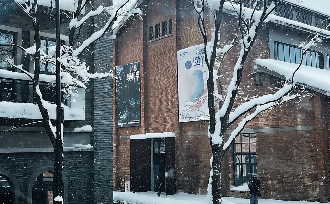 在南昌第一次见那么大的❄️