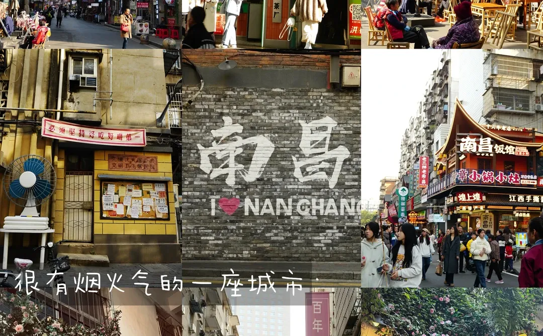 南昌PLOG｜鹭鹭行 ‧₊˚ 🐾 °