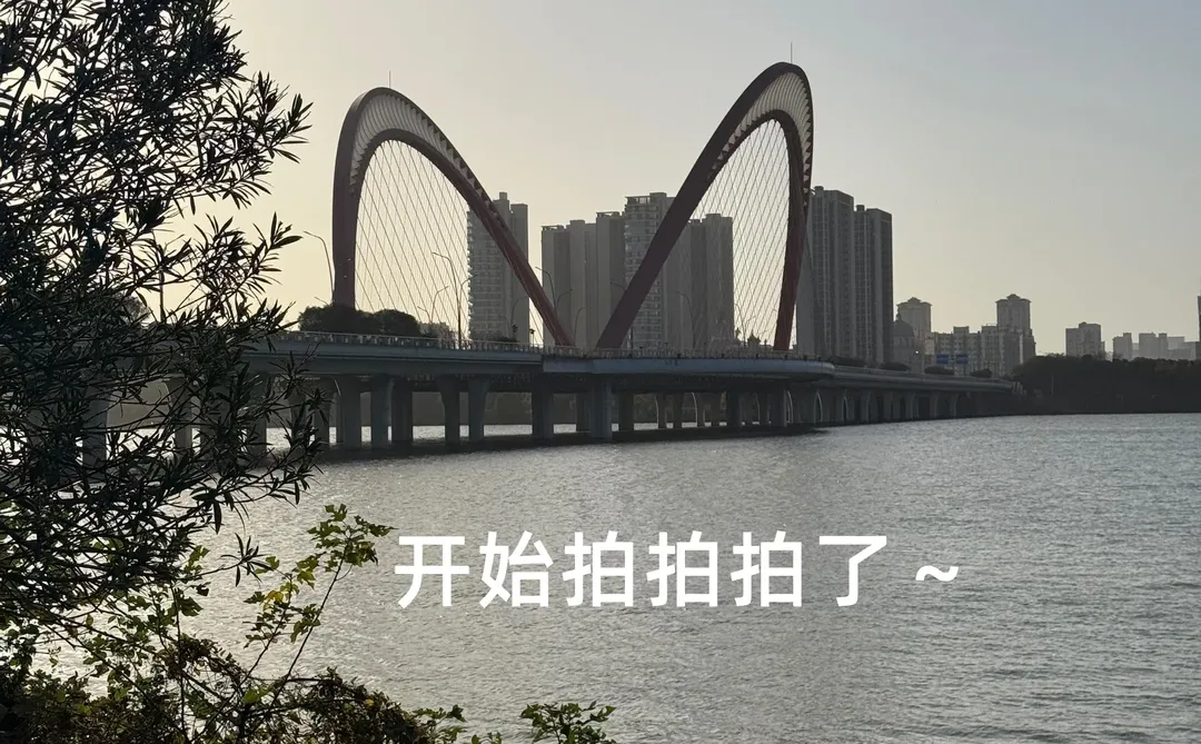 南昌“猫耳朵大桥”🐱攻略来了～