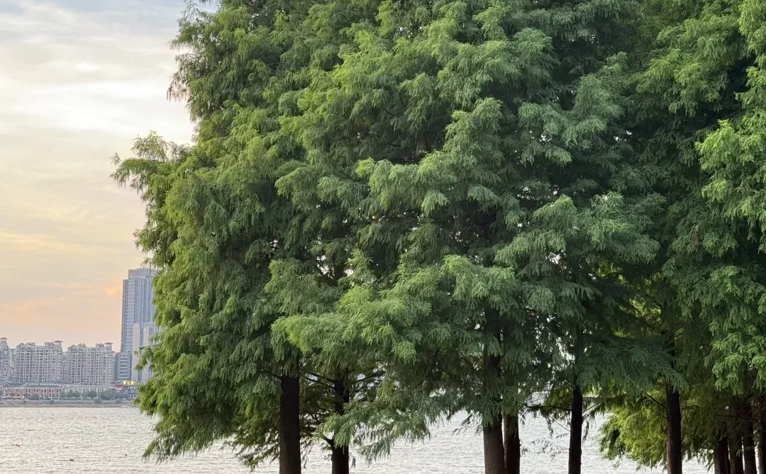 为了这18张live图总要来一趟南昌吧！！！