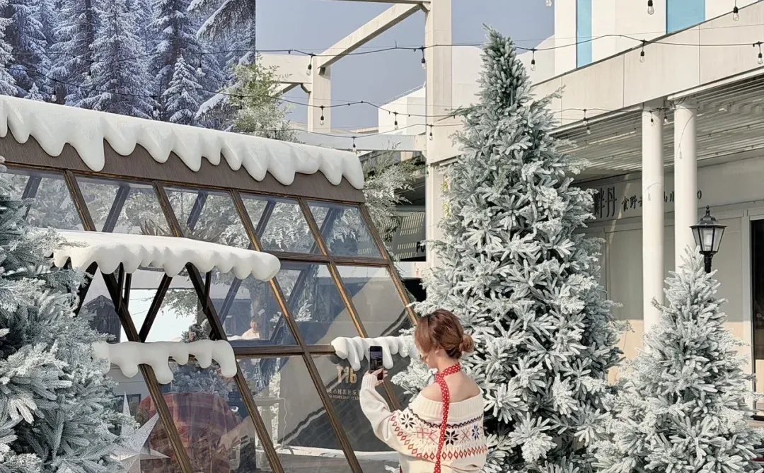 如何预制圣诞照片！一篇攻略告诉你📝