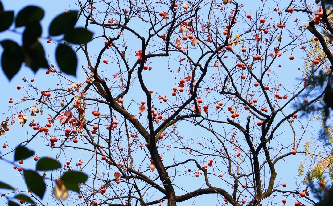 南昌人民公园打卡