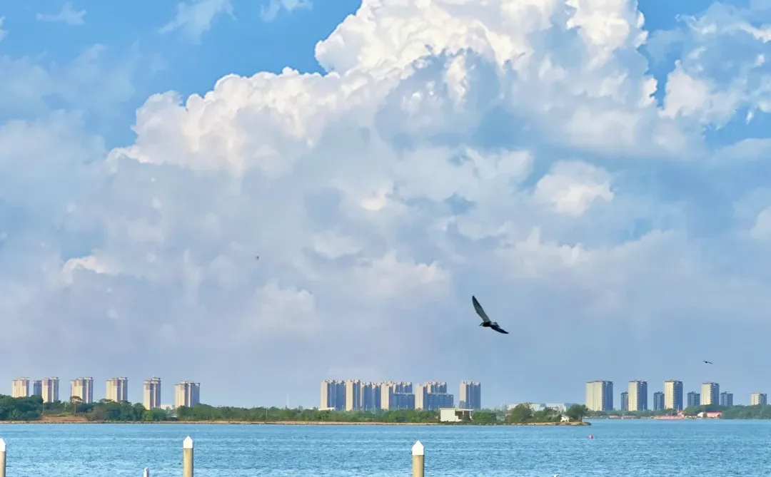 果然南昌最美的地方都是免费的……