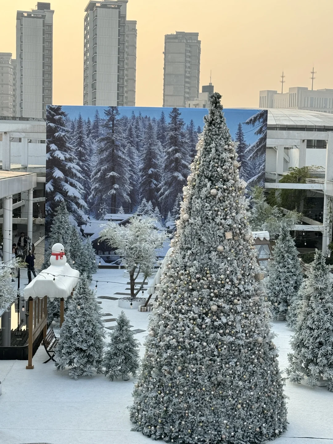 南昌坠坠坠坠坠大的圣诞树出现了🎄