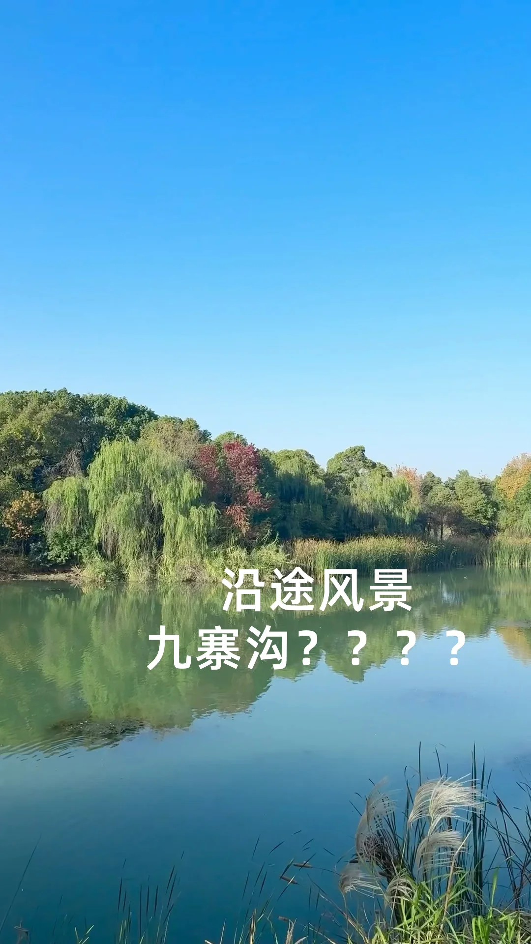 南昌“猫耳朵大桥”🐱攻略来了～