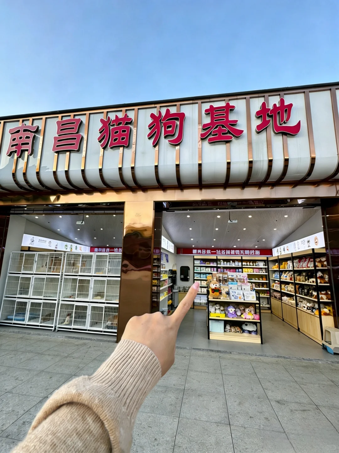 南昌靠谱宠物｜南昌宠物基地｜南昌买猫买狗