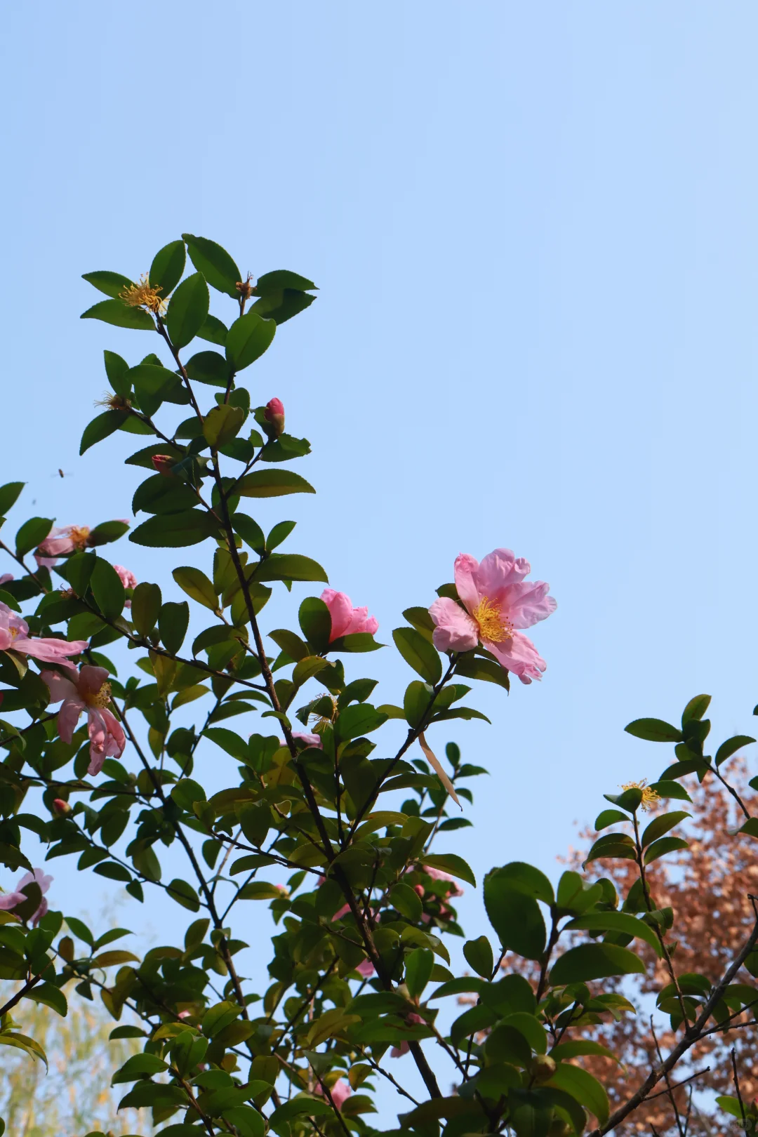 南昌人民公园打卡