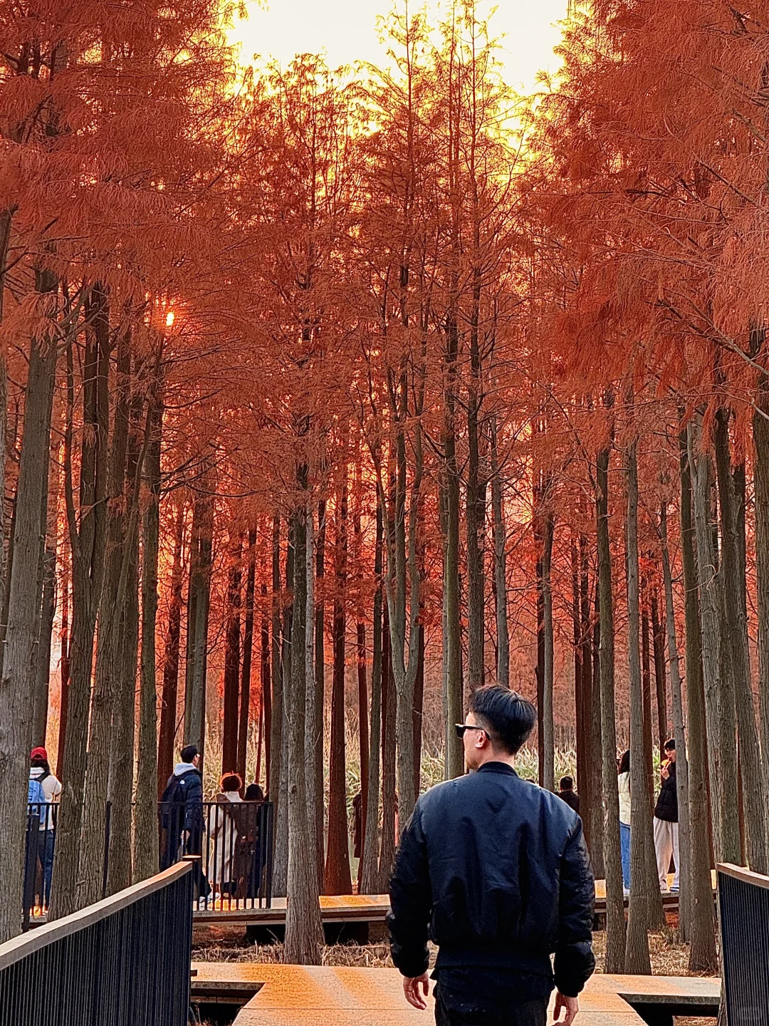 为了这18张live图总要来一趟南昌吧！！！