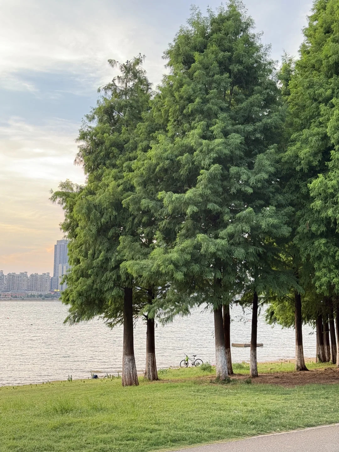 为了这18张live图总要来一趟南昌吧！！！