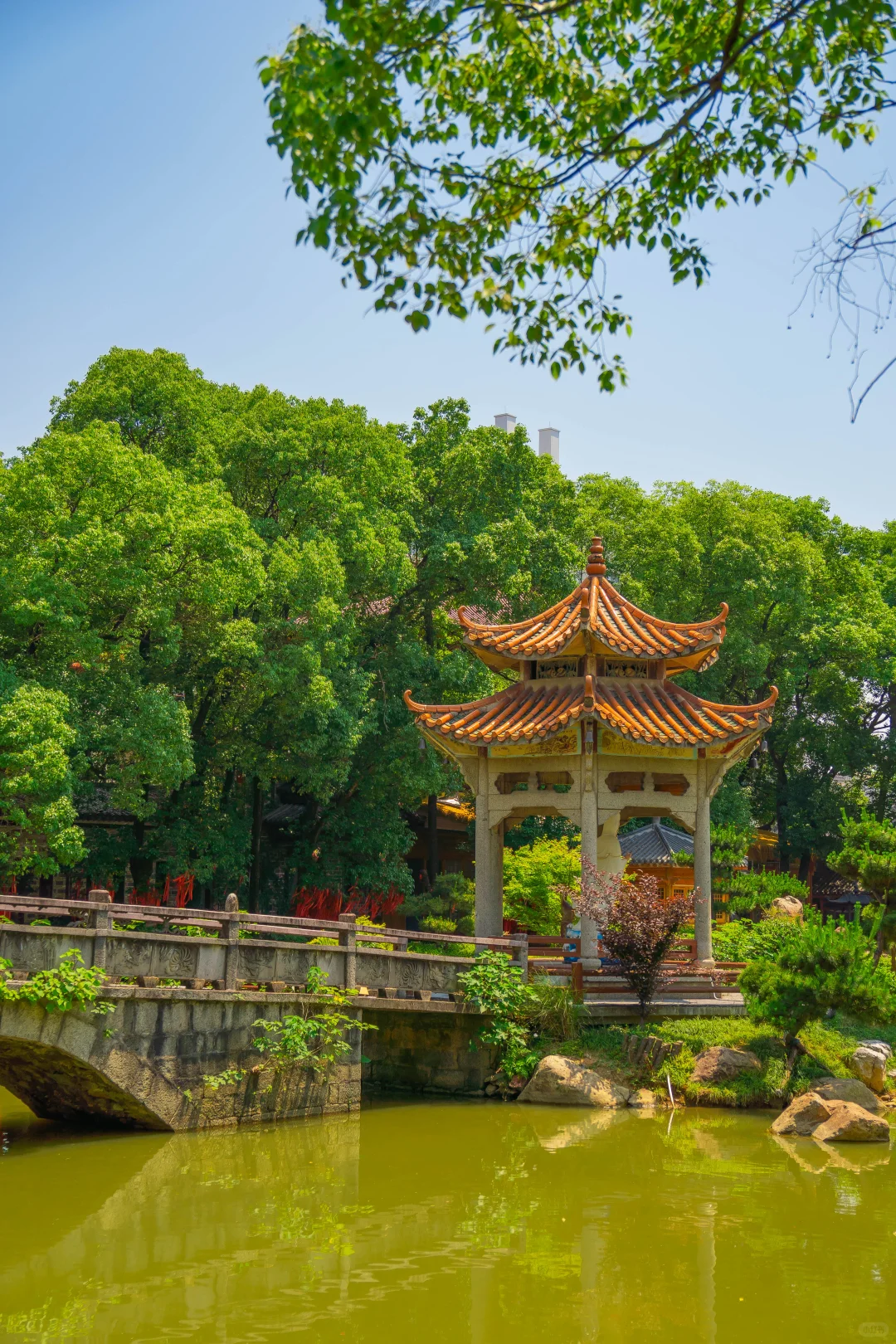 果然南昌最美的地方都是免费的……