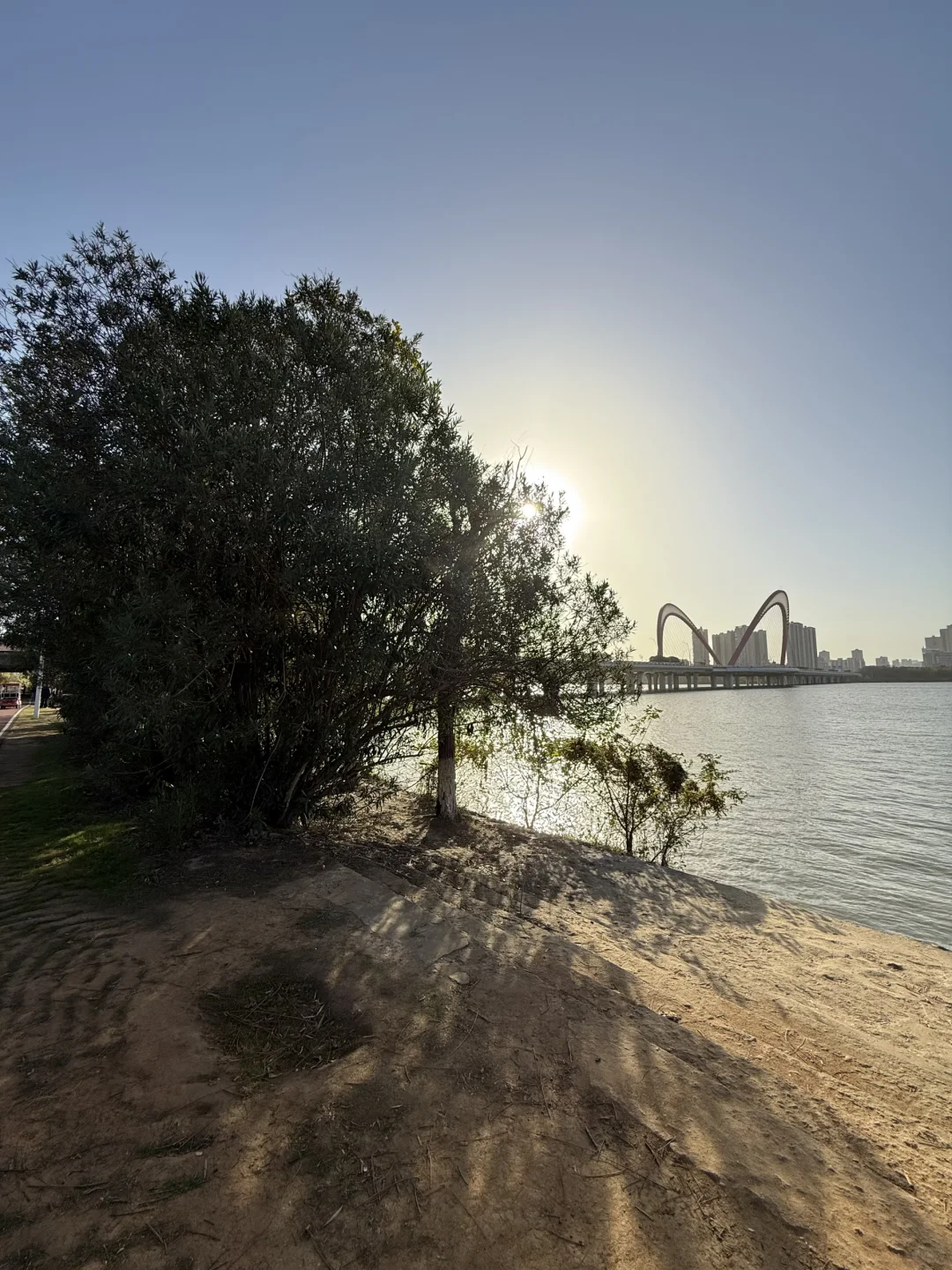 南昌“猫耳朵大桥”🐱攻略来了～