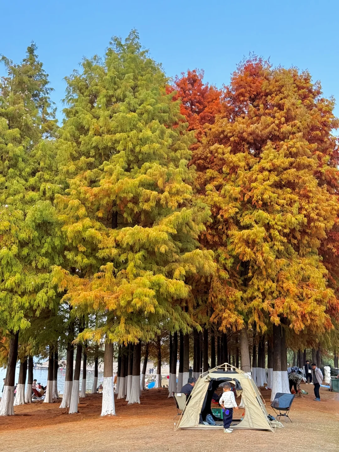 12.7实拍live！！不是大理！！是南昌！！