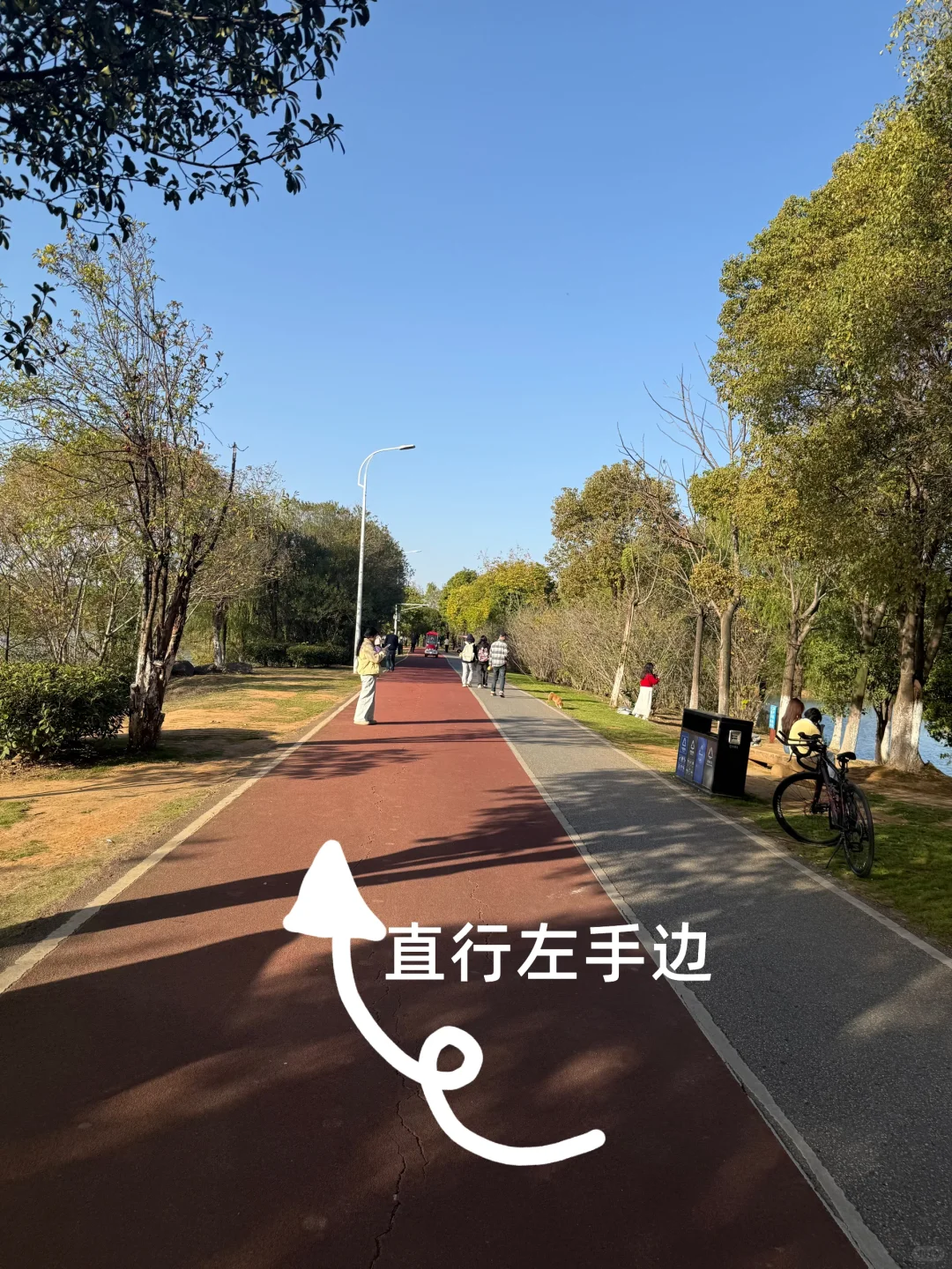 南昌“猫耳朵大桥”🐱攻略来了～