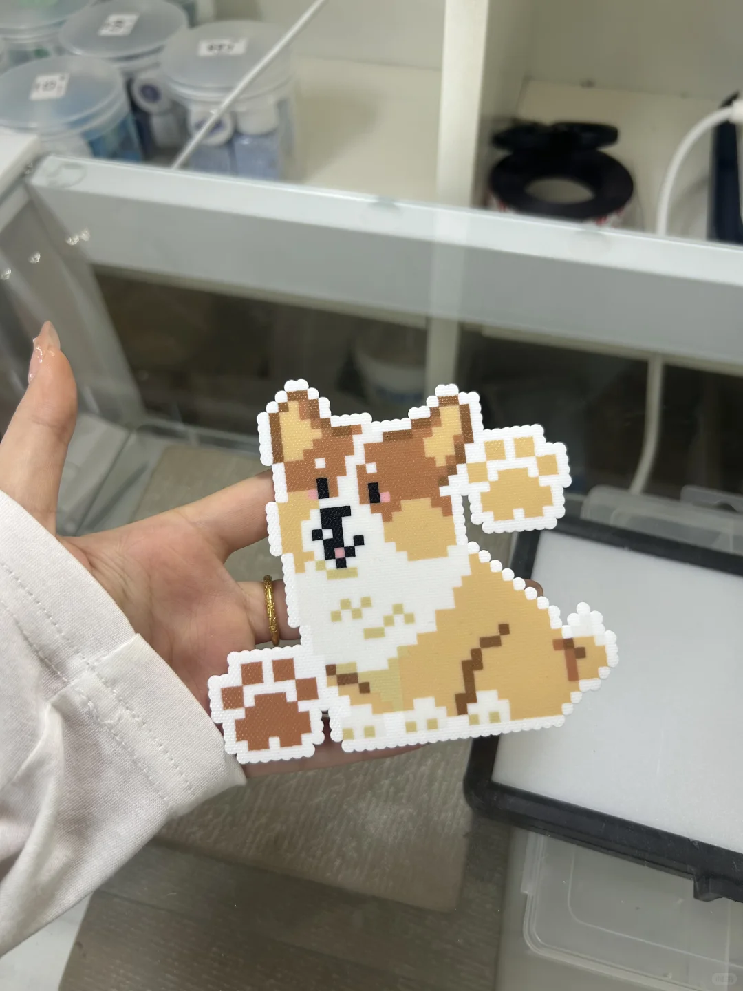 南昌来都来了｜拼豆价