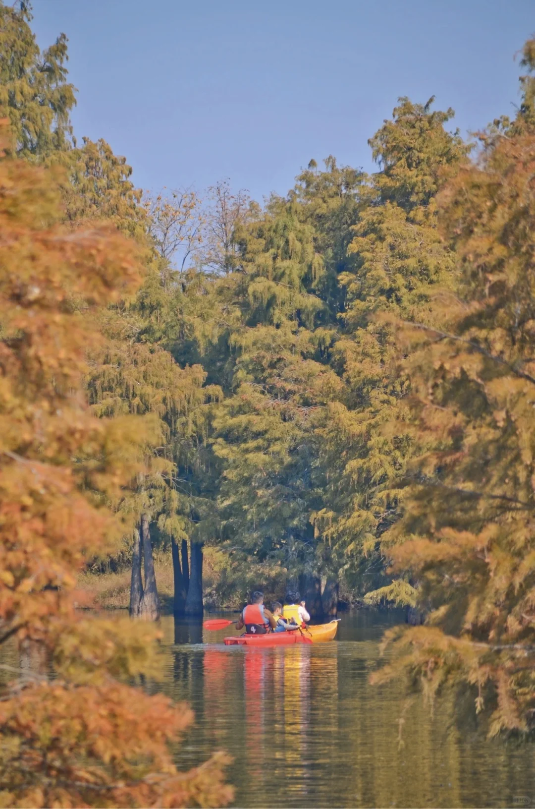 南昌版“小阿勒泰”—塔城