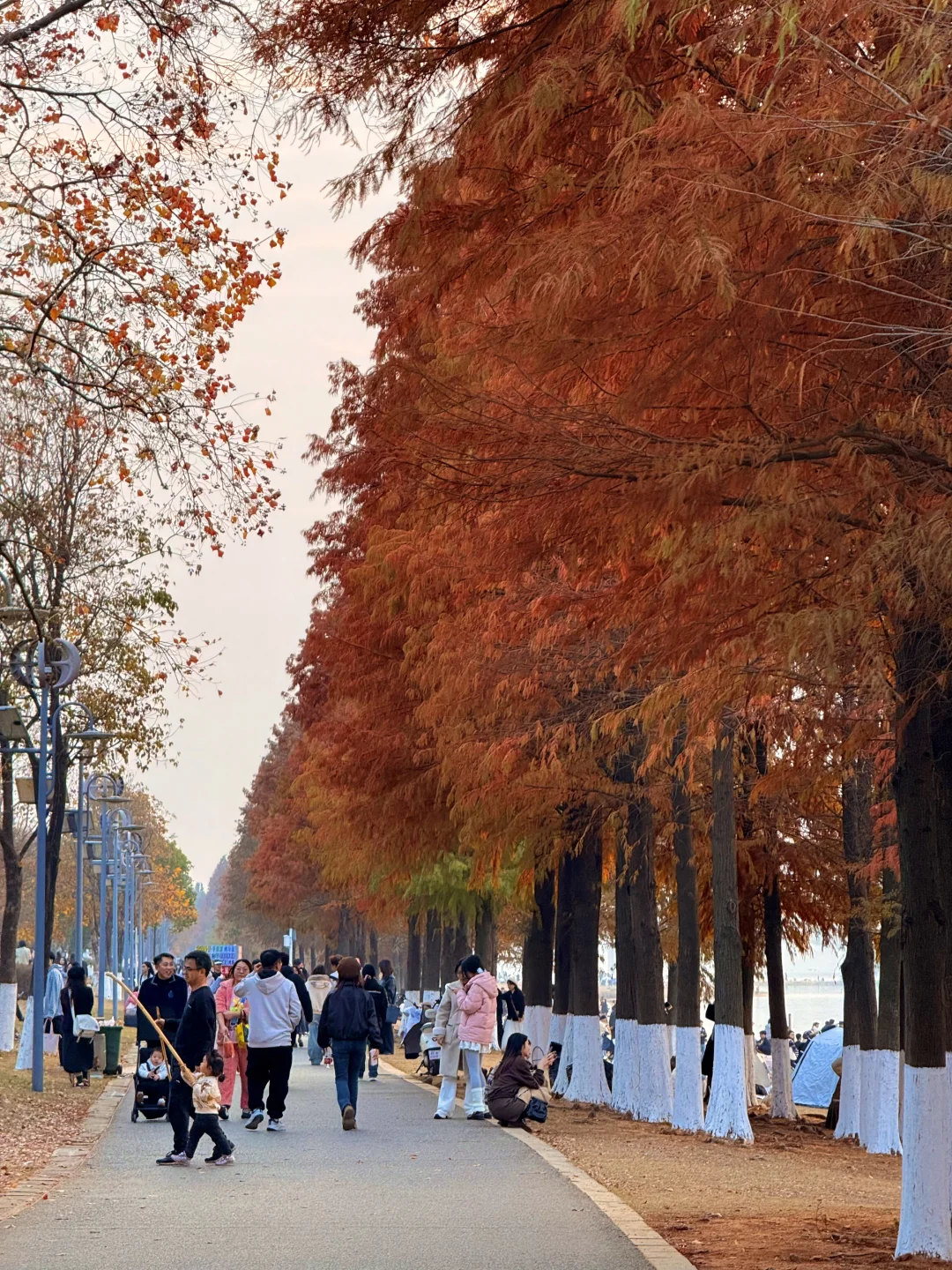 12.7实拍live！！不是大理！！是南昌！！