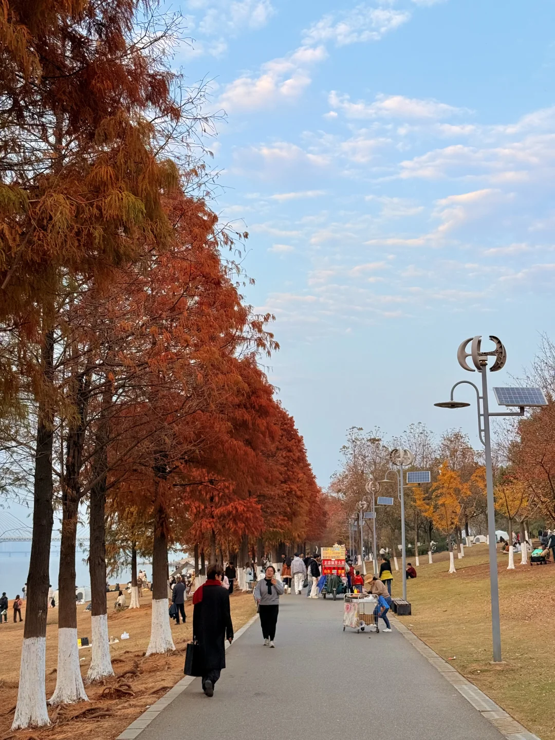 12.7实拍live！！不是大理！！是南昌！！