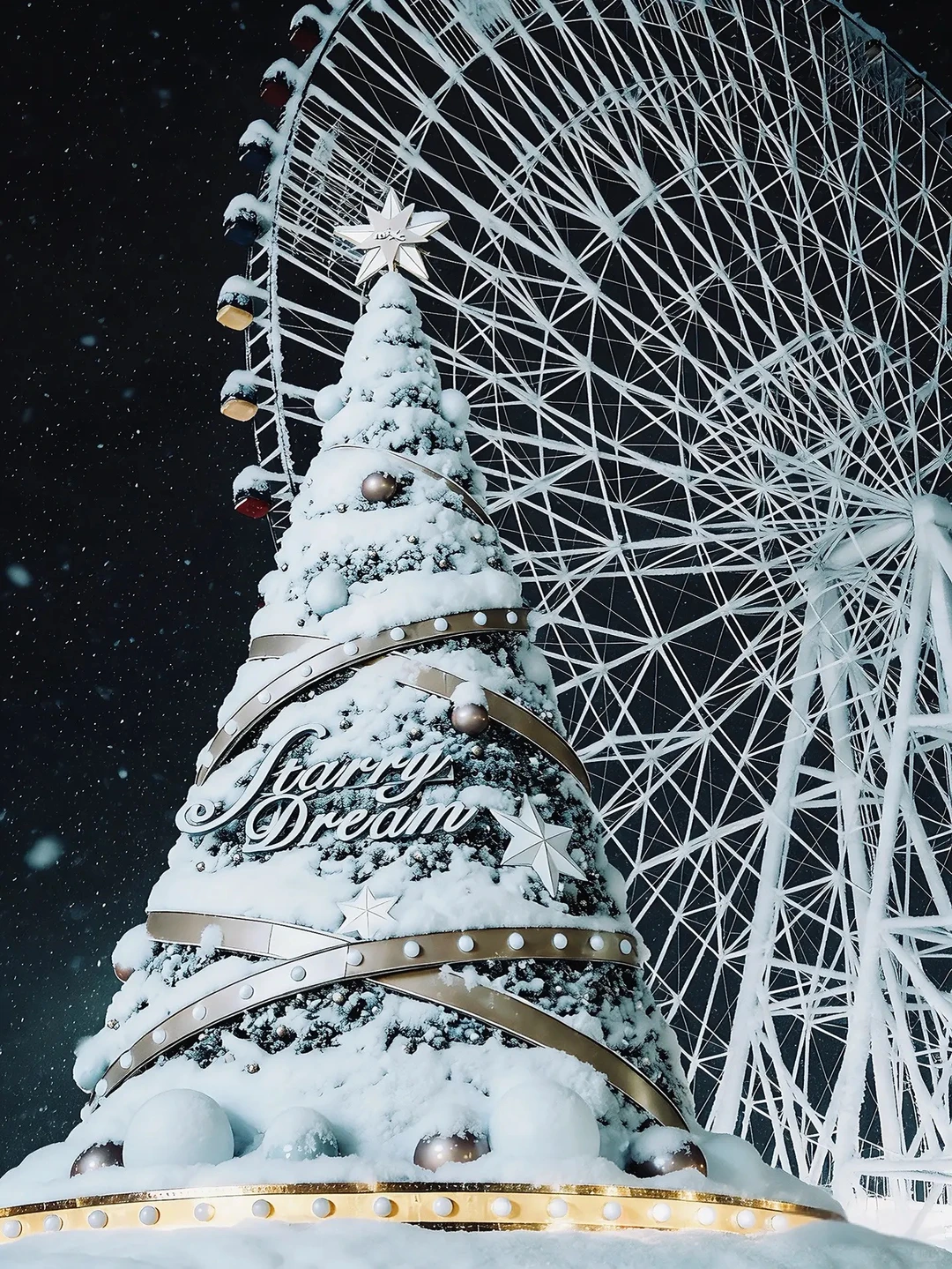 在南昌第一次见那么大的❄️