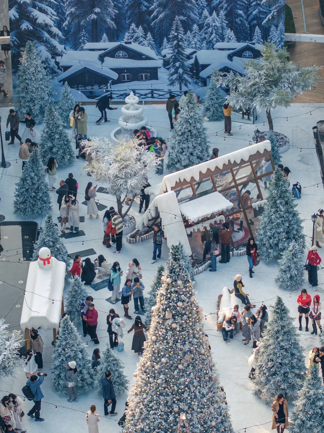 如何预制圣诞照片！一篇攻略告诉你📝