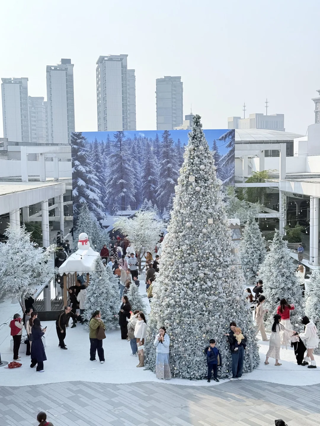 在南昌 仿佛来到了阿勒泰 雪景太美了