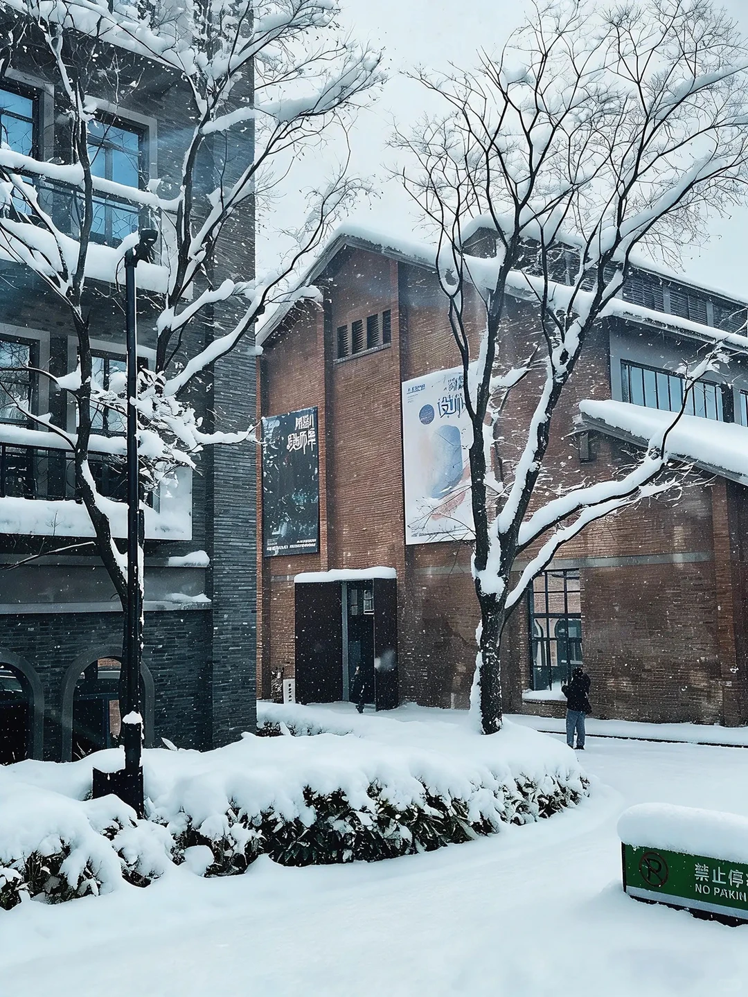 在南昌第一次见那么大的❄️