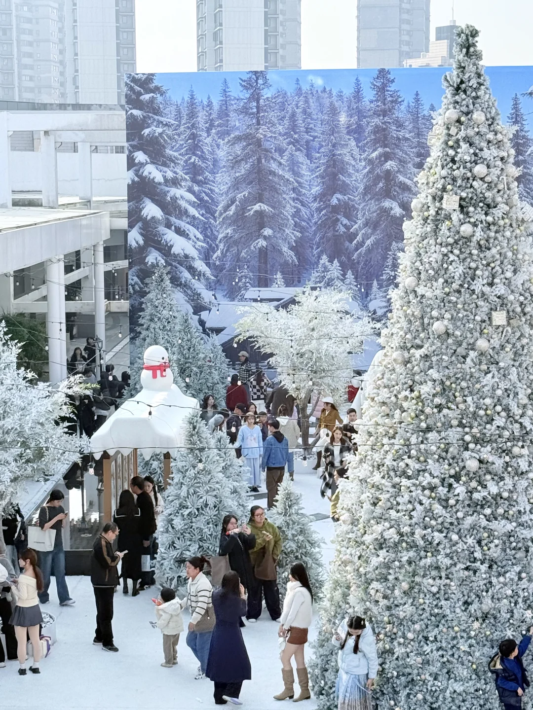 在南昌 仿佛来到了阿勒泰 雪景太美了