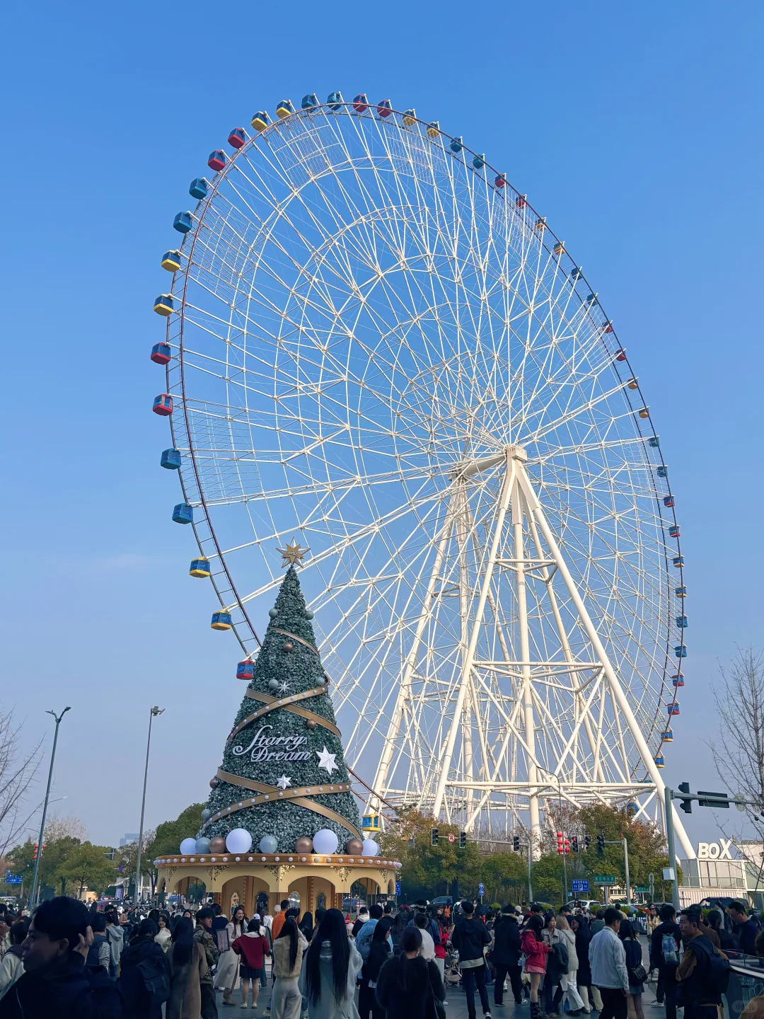 圣诞树80分，有摩天轮的圣诞树100分