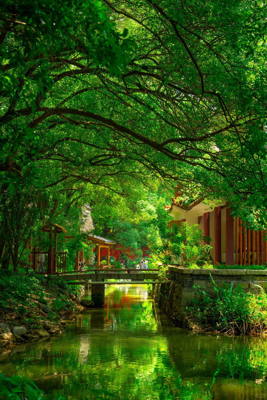 果然南昌最美的地方都是免费的……