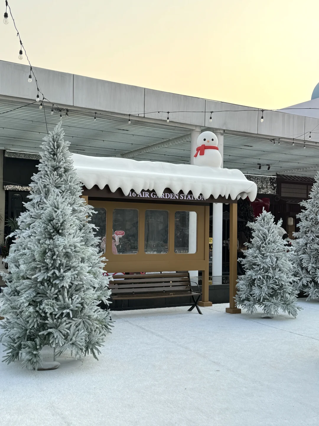 南昌坠坠坠坠坠大的圣诞树出现了🎄