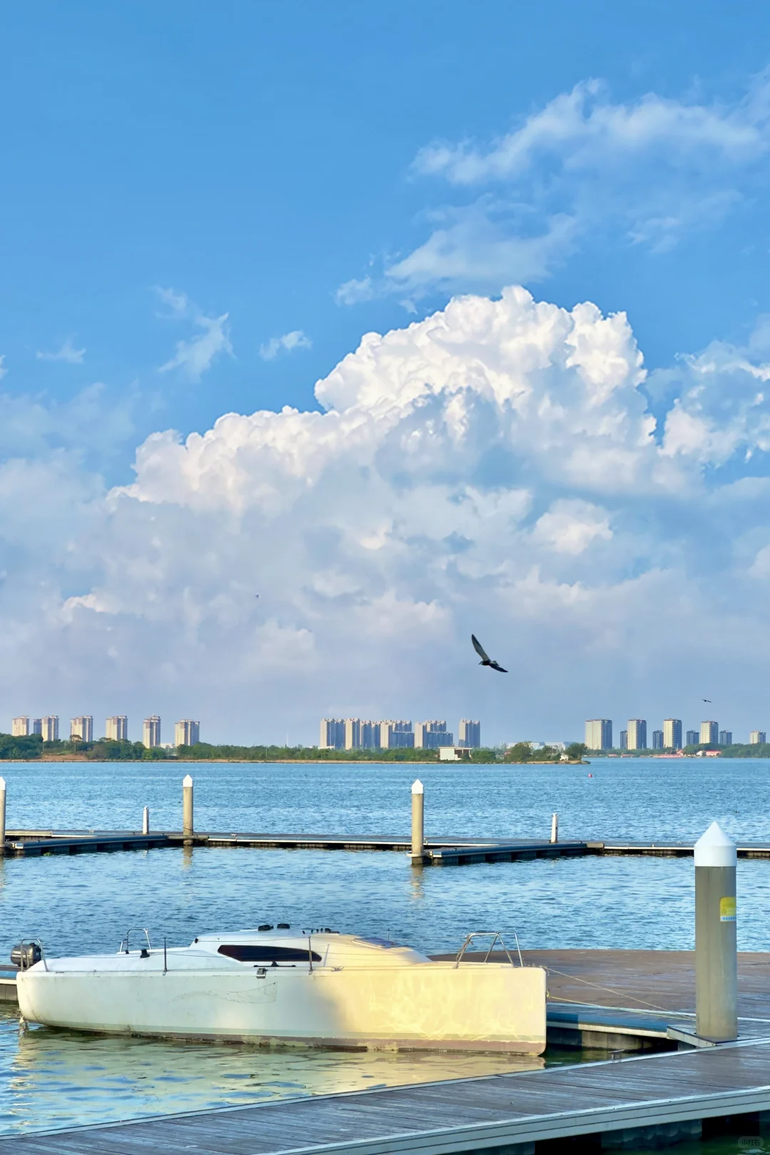 果然南昌最美的地方都是免费的……