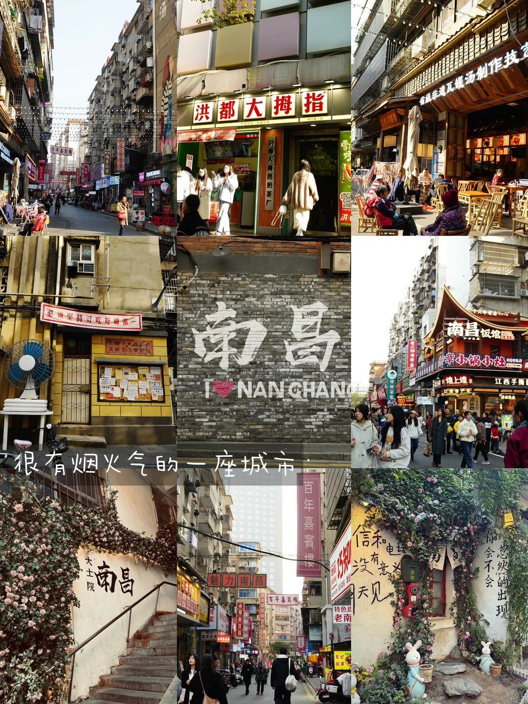 南昌PLOG｜鹭鹭行 ‧₊˚ 🐾 °